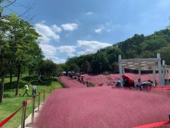 -牛岗山公园