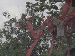 -东部华侨城