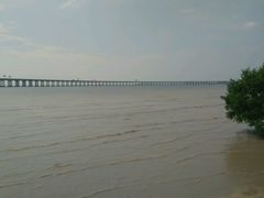 沿江高速-宝安西湾红树林湿地公园