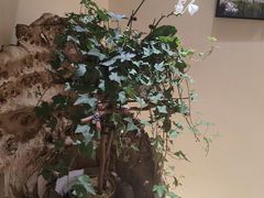 -翁暖茶馆(滨江东总店)