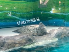 -郑州海洋馆