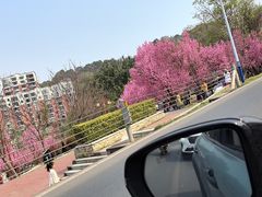 -玫瑰庄园·自助烧烤·烤全羊·团建拓展(龙泉山店)