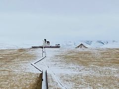 -郭莽湿地
