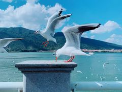 -滇池海埂公园