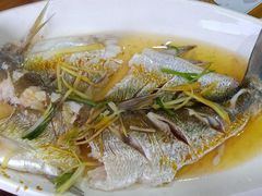 清蒸白水鱼-洞天食府(北大街店)