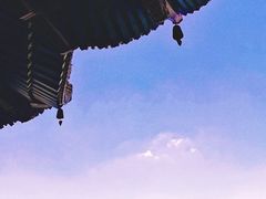 -黄鹤楼