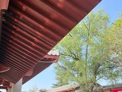 -洛阳古墓博物馆