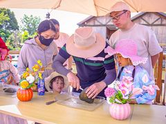 -苏州太湖西山岛开心农场