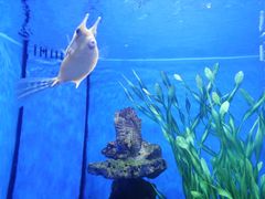 -多彩贵州城极地海洋世界