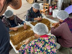 -苏州市吴中区光福窑上花果蜜饯厂