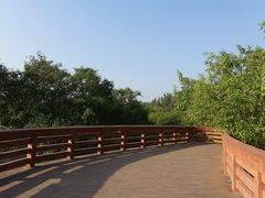 -宝安西湾红树林湿地公园