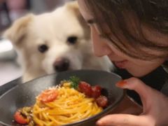 -百好乐宠物友好餐厅(朝外大街店)