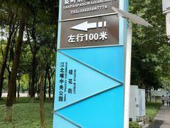 -重庆市江北嘴中央商务区中央公园