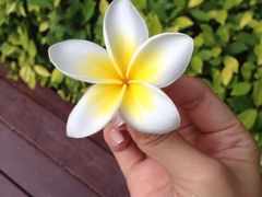 三亚万丽度假酒店-三亚海棠湾万丽度假酒店