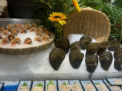 -初色海鲜自助(万丰路店)