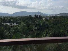 亚龙湾红树林度假酒店-三亚亚龙湾红树林度假酒店