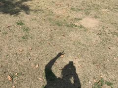 -长广溪湿地公园