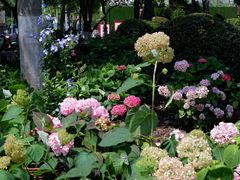 -常州古运河南大街文化旅游区-人民公园