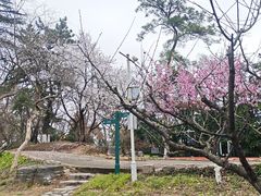 -九华山公园