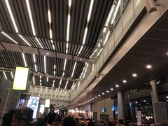 -西沃古尔·拉姆古兰爵士国际机场