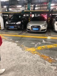 -上海交通大学医学院附属上海儿童医学中心(陆家嘴总院区)