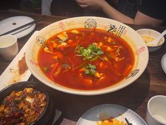 -陈麻婆豆腐(旗舰店)