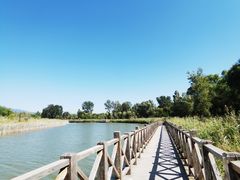 -野鸭湖国家湿地公园