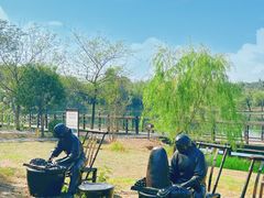 -苏州太湖国家湿地公园