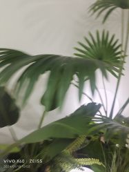 -HEYAN荷妍专业脱毛连锁机构