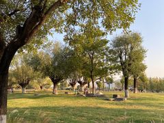 -汉长安城未央宫国家考古遗址公园