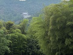 -安吉涵田度假村·龙倚楼咖啡厅