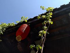 -慢丽江·云南野生菌土鸡锅(西山店)