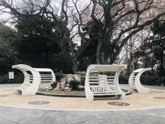 -菊花台公园