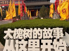 -大槐树寻根祭祖园