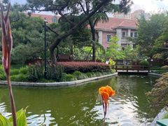 -上海瑞金洲际酒店