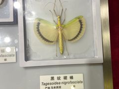 -上海昆虫博物馆