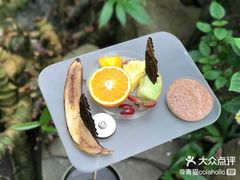 -阿提斯皇家动物园