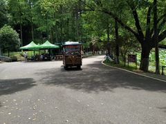 -张公山寨景区