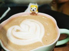 -逗柴咖啡屋·狗咖猫咖宠物桌游