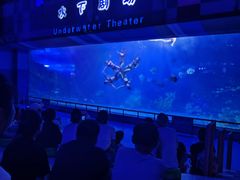 -泉城欧乐堡海洋极地世界