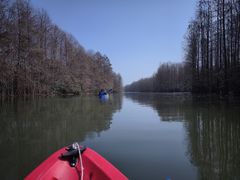 -上海海湾国家森林公园