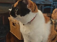 -BUND·FIVE外滩5号(天际店)