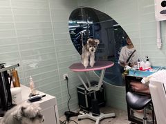 -FAELING PETS美天灵宠物(合生汇店)