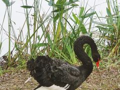 -长兴太湖图影湿地文化园