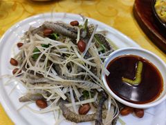 顺德佬捞鱼皮-粤·向群饭店(泮塘路店)