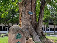 -苏州碑刻博物馆