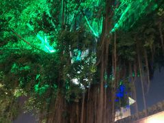 -闽江夜游台江旅游码头