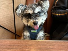 -新旺茶餐厅(鑫耀·光环live店)