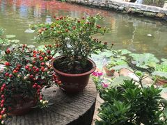 -竹泉村旅游度假区