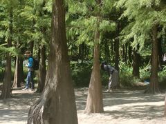 -广州市帽峰山景区